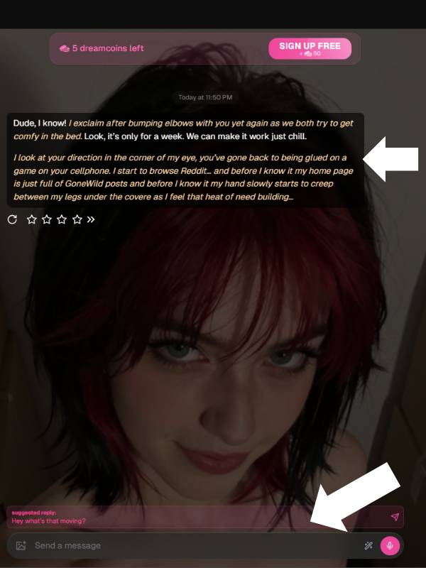 Step 3 Start Chatting